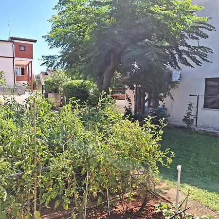 Apartments Reinic Novigrad Istria Dış mekan fotoğraf