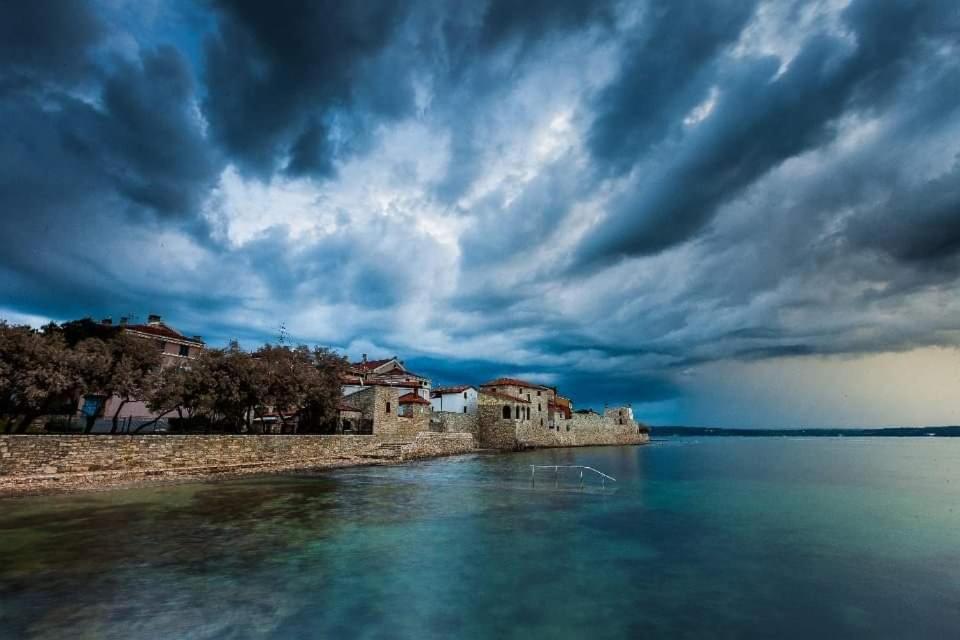 Apartments Reinic Novigrad Istria Dış mekan fotoğraf