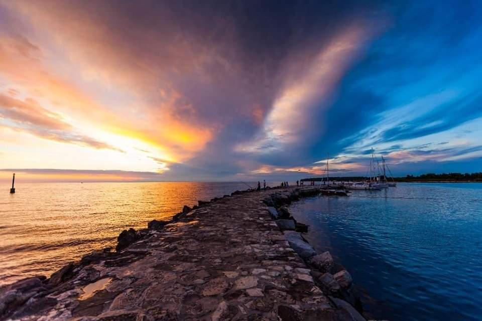 Apartments Reinic Novigrad Istria Dış mekan fotoğraf