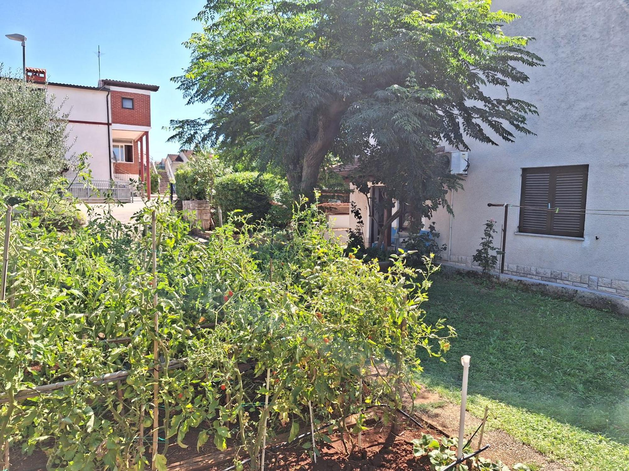 Apartments Reinic Novigrad Istria Dış mekan fotoğraf